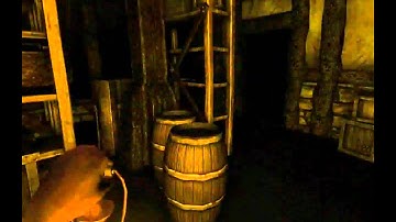 Ahro screams hardcore - Amnesia The Dark Descent