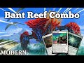 Is this the PERFECT Primal Prayers Brew? | Bant Reef Combo | Modern | MTGO