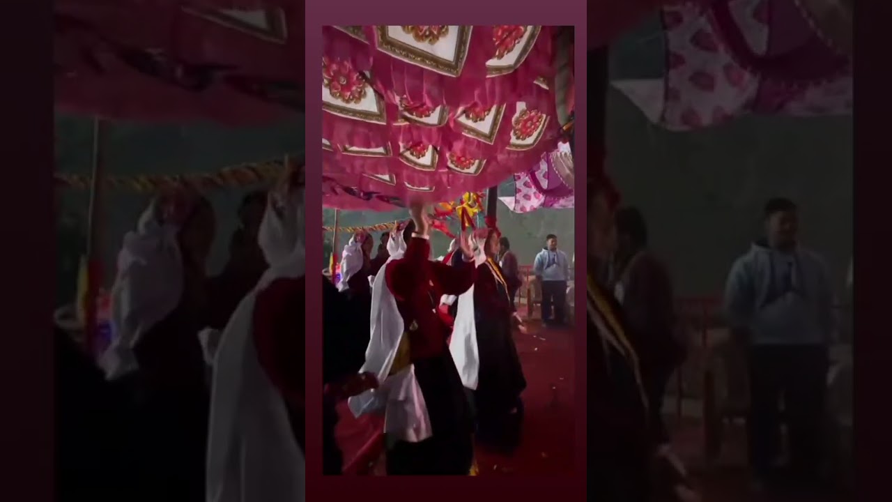 ❤️ ....         . 