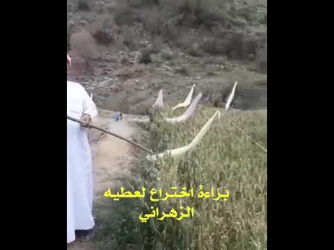 براءة اختراع محمد الزهراني