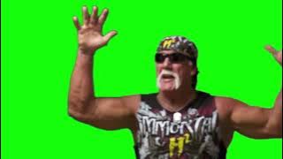 Hulk Hogan 'oh my god, what a masterpiece' green screen