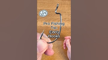 EWG Hooks Explained for Bass Fishing #fishing #fishingtips #bassfishing