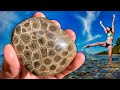 We Found Petoskey Stones and 350,000,000 Year Old Fossils EVERYWHERE in Lake Michigan!