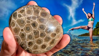 We Found Petoskey Stones and 350,000,000 Year Old Fossils EVERYWHERE in Lake Michigan!