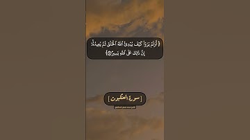 سورة العنكبوت الآية ١٨ الى ٢١ بصوت الشيخ محمد صديق المنشاوي