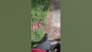VID 20220 4 26 10 13