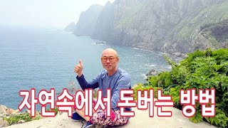 자연인들이 적은돈으로 정착하고   먹고사는 방법 /수익창출