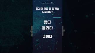 인간의 가장 큰 장기는 피부이다?  #퀴즈 #문제 #흥미로운사실