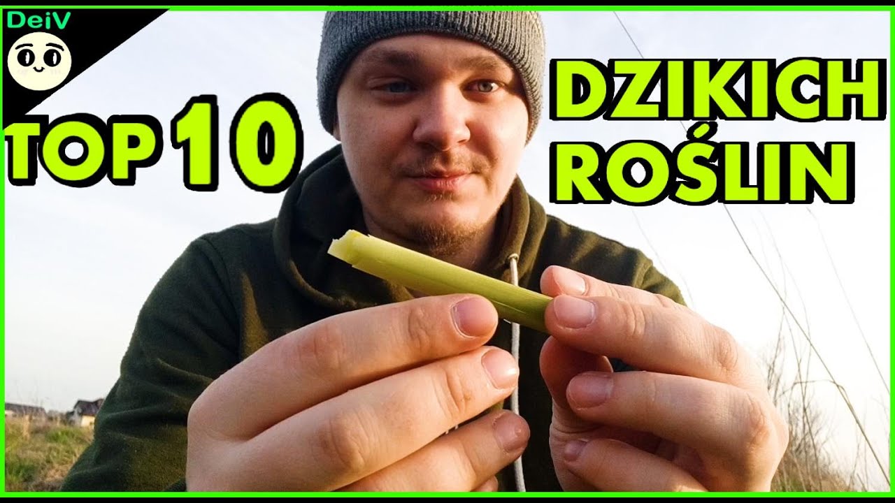 Moje TOP 10 Dzikich Roślin jadalnych we Wiosnę !!! Przetrwanie | Survival | z Tej Strony DeiV