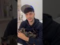 Na da pra levar pet! algumas despedidas não cabem em malas. 🇯🇵🐾Nem todo sonho aceita ir completo.