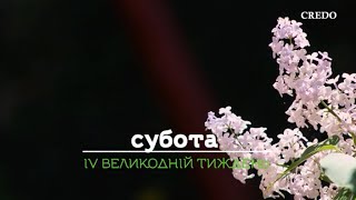 Бачити Бога в Ісусі