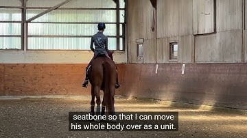 Improving the Canter Half Pass with Derby