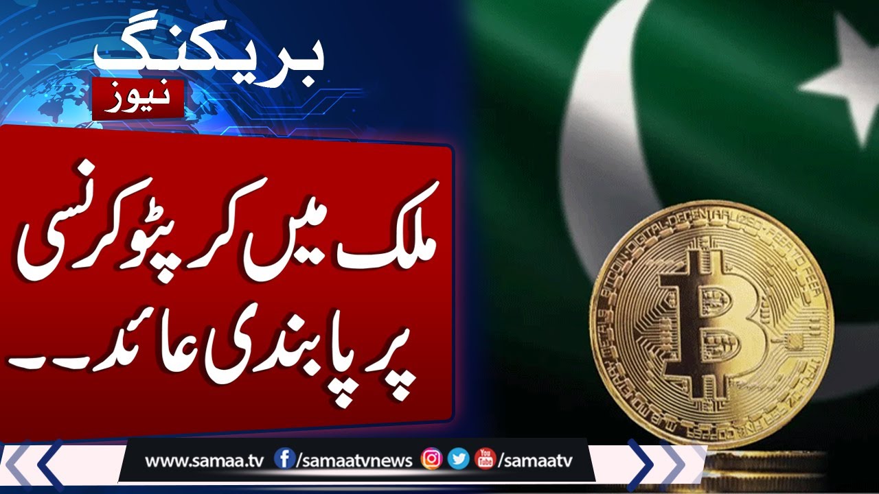 Cryptocurrency still banned in Pakistan by SBP, SECP: Finance secy