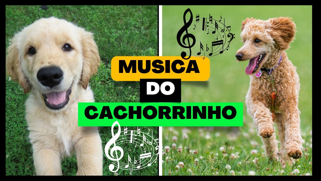 Música do Cachorrinho | Canção Divertida para Crianças - YouTube