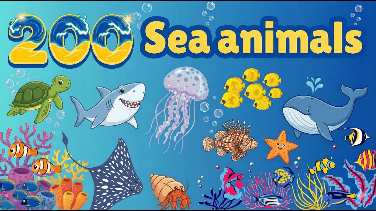 200 Sea Animals Sounds for Kids 🐙 | Octopus, Crab, Lobster | Learning Video