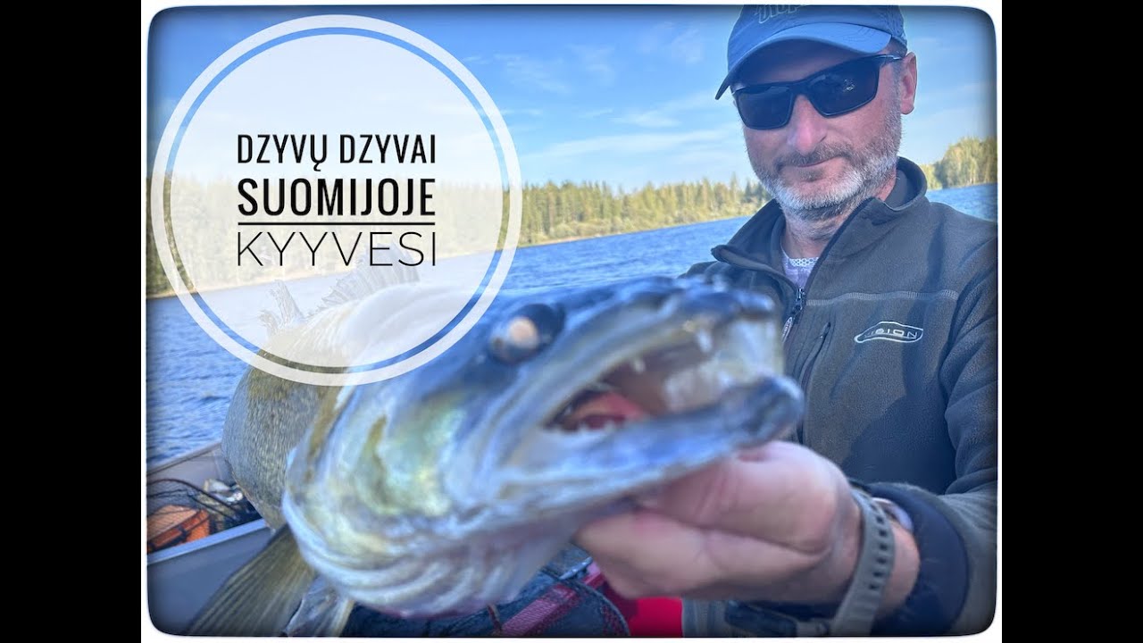 Kyyvesi 2024.09. Visko kratinys.