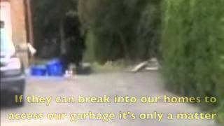 Black Bear PSA