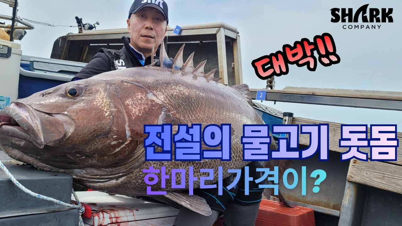 #돗돔낚시 #부산에서 잡은 돗놈 한마리 가격은? #리얼영상 #FTV #빅게임더와일드에서 시청하실수 있습니다. - YouTube