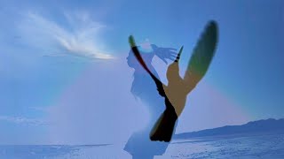 Philipp Ham Kuman - Colibrí Beijaflor (Official Video)