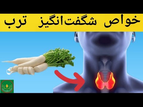 فواید ترب ترب ماده ی غذایی با ارزشی که باید در رژیم غذایی ما باشد شگفتی های درمانی ترب تغذيه پزشکی
