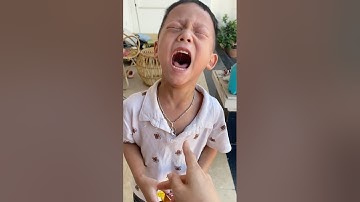 Chip cướp bánh mì pipi gào khóc thương quá#shortvideo