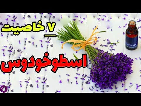 خواص اسطوخدوس شگفت انگیز 7 خاصیت اسطوخودوس برای سلامتی عوارض اسطوخودوس
