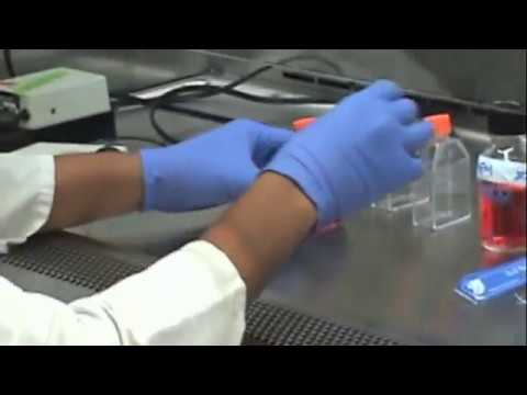 Video: Razvoj BALB / C 3T3 Nevtralnega Rdečega Testa Citotoksičnosti Pri Uporabi Sistema Izpostavljenosti Cigaretnemu Dimu