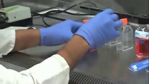 Passaging of 3t3 cells