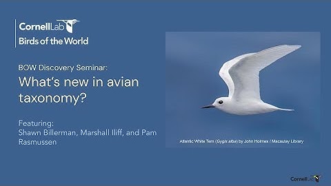 BOW Webinar Whats new in Avian Taxonomy FINAL