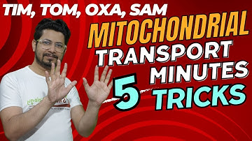 Protein translocation in mitochondria | tim, tom, oxa | Mitochondrial protein transport