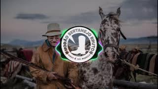 Zé Henrique & Gabriel - Coração Que Chora (Part. Cesar Menotti e Fabiano)《Modão Sertanejo Bruto》