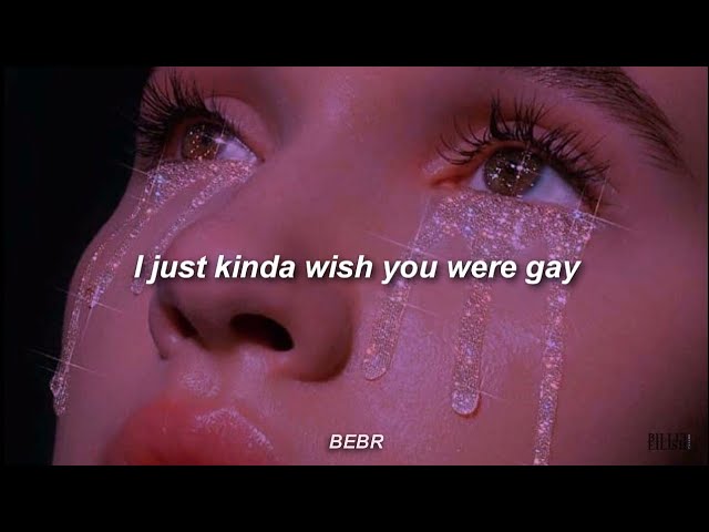 Billie Eilish - wish you were gay (Lyrics)