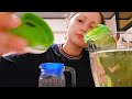 ASMR | Water And Pouring Triggers~ 💧 🫗