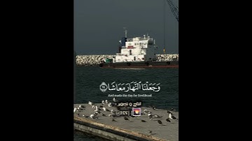 تلاوة من سورة النبأ بصوت ( احمد خضر ) #اكسبلور #funny #explore #viral #trending #quran #inspiration