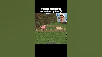 Minecraft Pig Moment