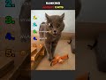 Well, they are felines😩