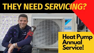 Heat Pumps - They Need Servicing, Right?