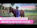 Matching my horse&#39;s energy (vlog 4 | 2023 Mustang Transformation)