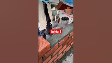 ĐÁNG ĐỒNG TIỀN LẮM #shortvideo