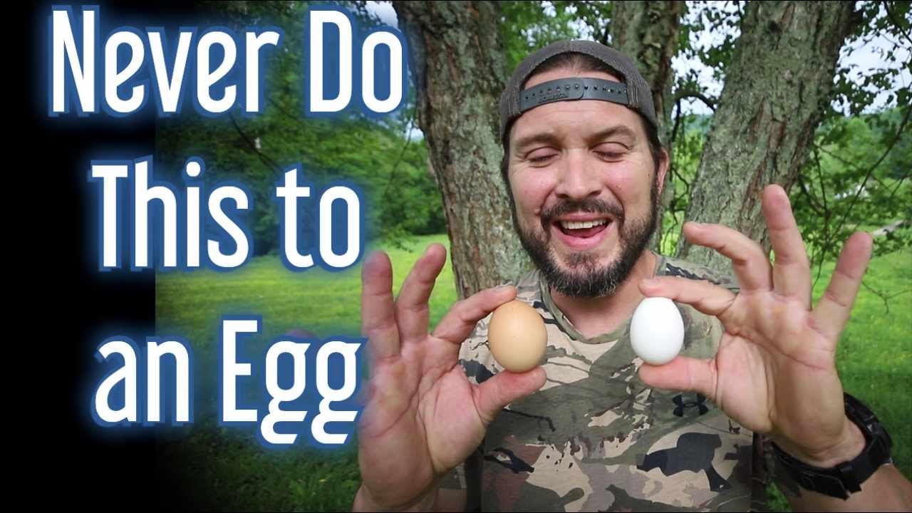 Keep Eggs Fresh Longer YouTube
