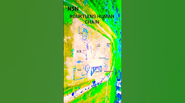 RGUKT BASAR |humain chain ⛓️‍💥 |#trendingshorts #ytshorts #viralshorts #nsn #rguktbasar