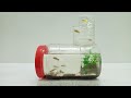 Simple vertical aquarium making at home using Plastic bottle