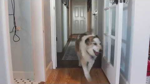 Brad Ephron Book Review of "Computer Age Statistical Inference"