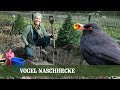 VOGEL NASCH HECKE - Wie man eine Hecke für Vögel anlegt