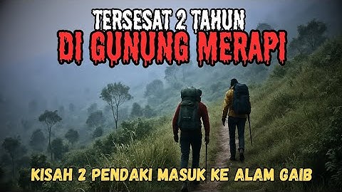 2 PENDAKI MASUK KE ALAM GAIB DI GUNUNG MERAPI‼️KISAH CERITA HOROR MISTERI‼️