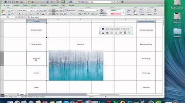 Insert Pictures in Excel Automatically Sized to Fit Cells (Mac & Windows)