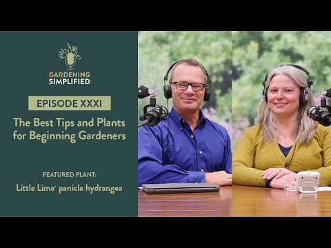 The Best Tips