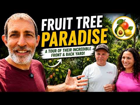 FRUIT TREE PARADISE! Rare Tropical Fruit Tree Tour in Florida