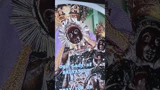 our lady of salvation shine tiwi albay