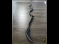 Zareth, Recurve Bow, Larp, Cosplay, Fantasy Archery